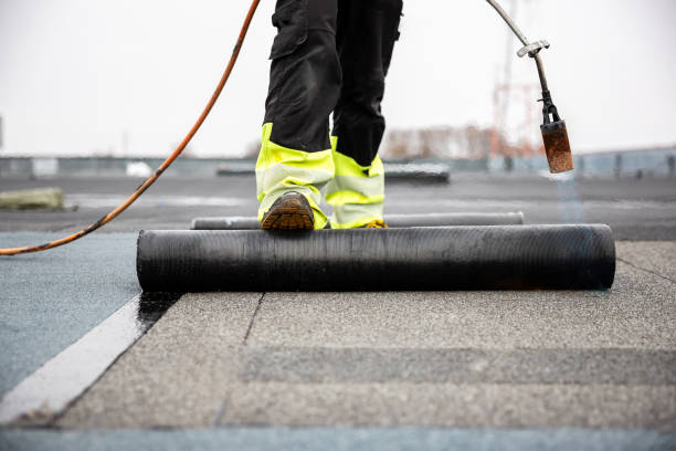 Best Roof Maintenance and Cleaning  in Pimlico, SC